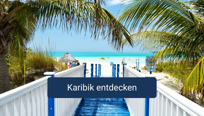 Blauer Steg im Hintergrund türkises Meer und Palmen