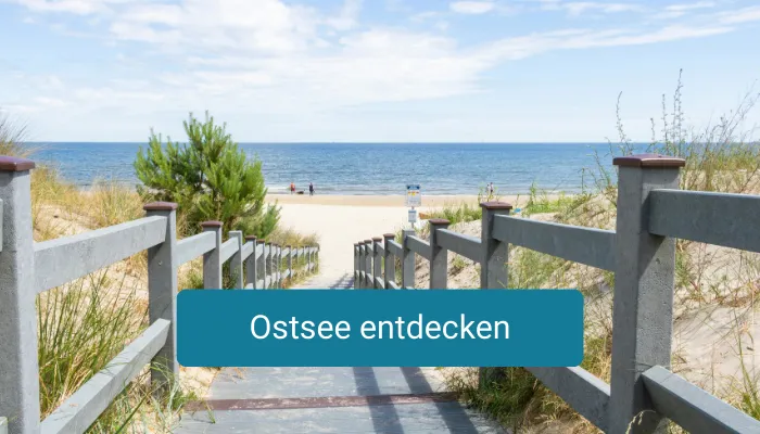 Holzsteg mit Geländer führt durch Dünen zum Strand an der Ostsee, im Hintergrund Meer und Himmel